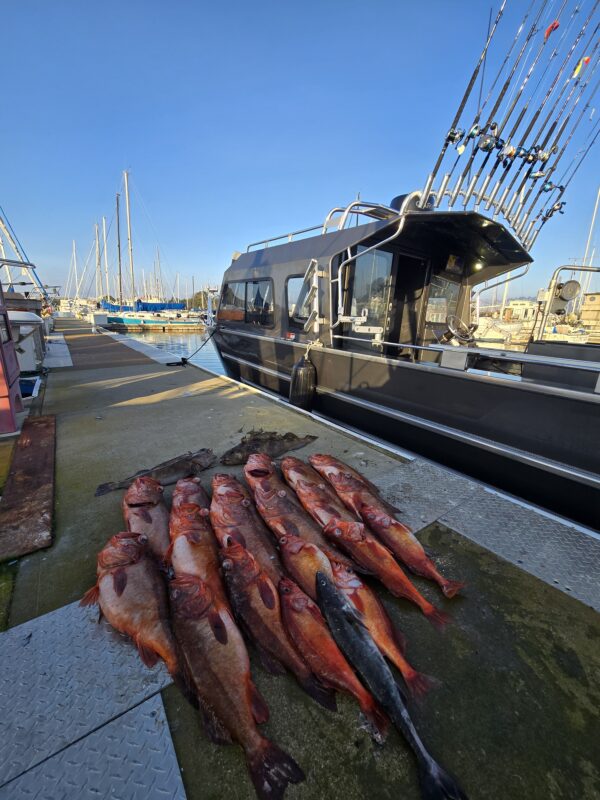 Dungeness Crab and Fish Combo